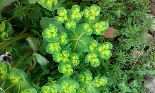 㽭:ɧŵ绰ռ 110ܽӾĳΪЧ