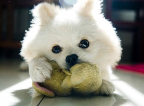 70¹ڷȷﲡ ۼƱ8610